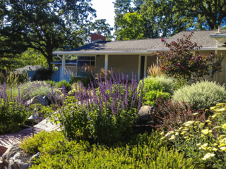 Cottage Garden
