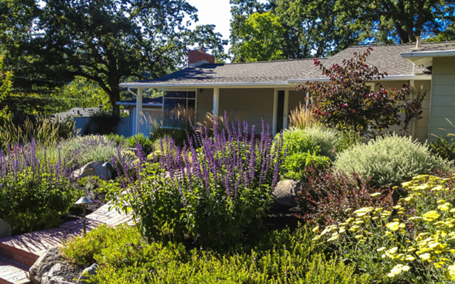 Cottage Garden